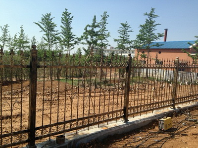 大塘新型院墙铁艺护栏